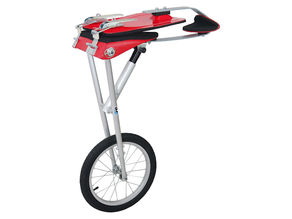 Flächenrad BASIC - Doppelsitzer 