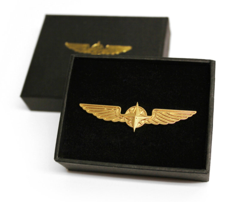 Pilot Wings Groß Gold