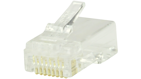 RJ45 Crimp-Stecker